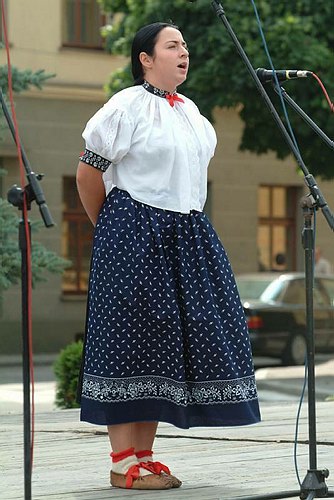 Schrze - modrzyniec